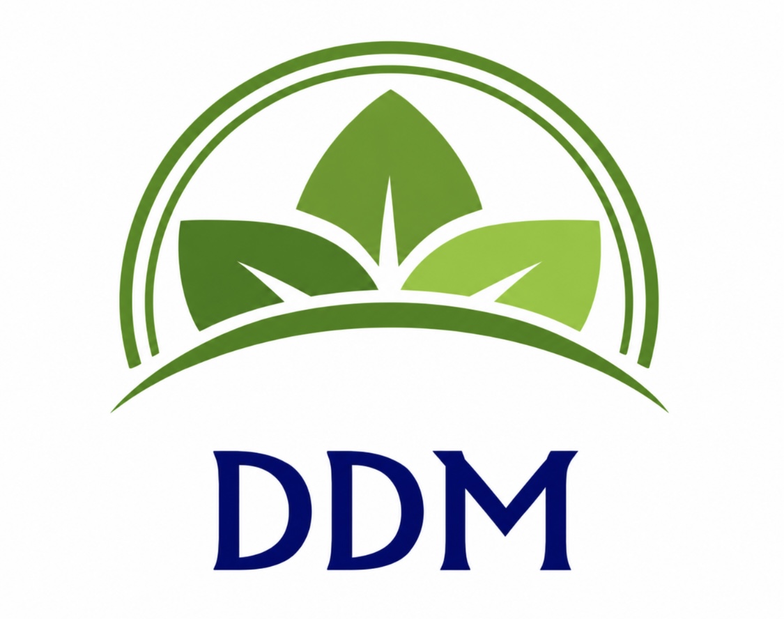 DDM